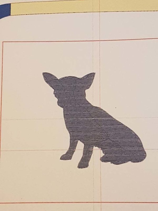 Chihuahua sitzend